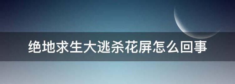 绝地生大逃杀花屏怎么回事