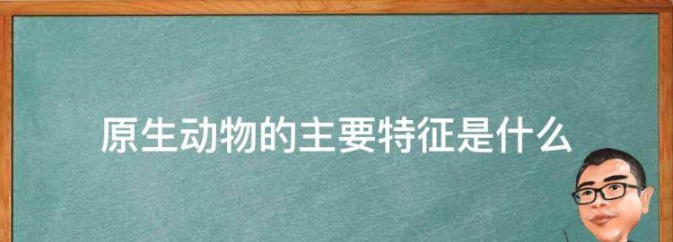 原声动物的主要生物学特征有哪些呢