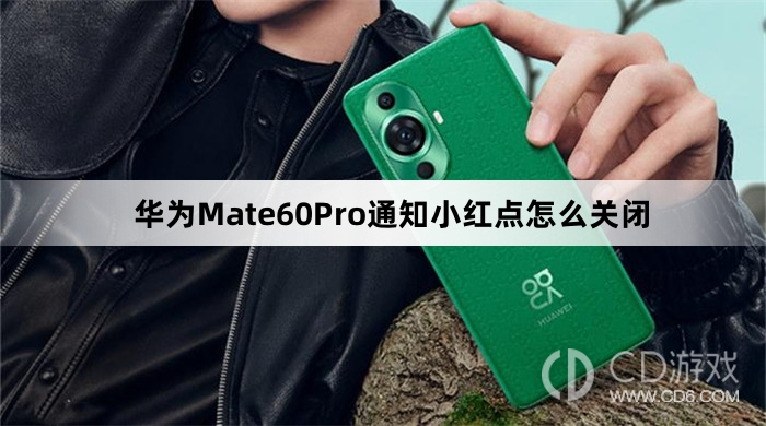 华为Mate60Pro通知小红点关闭方法