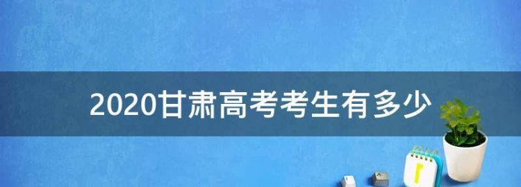 甘肃省高考人数2023年多少人