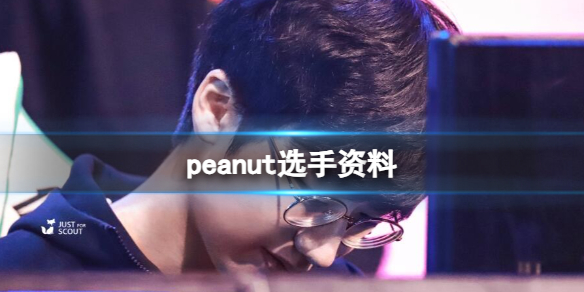 《英雄联盟》peanut选手资料一览