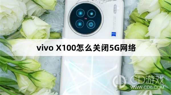 vivoX100关闭5G网络教程