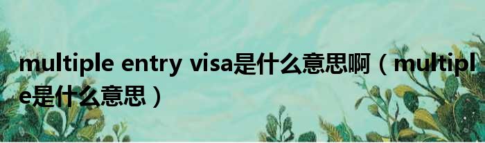 multiple entry visa是什么意思啊