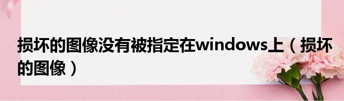 损坏的图像没有被指定在windows上