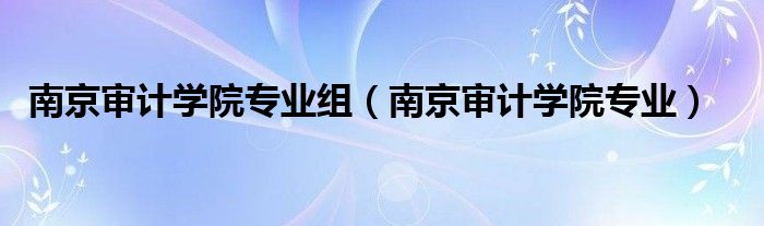 南京审计学院专业组