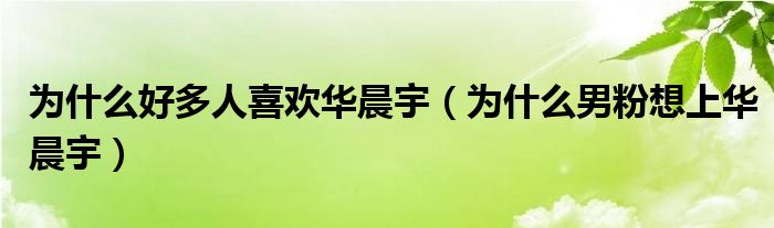 为什么好多人喜欢华晨宇