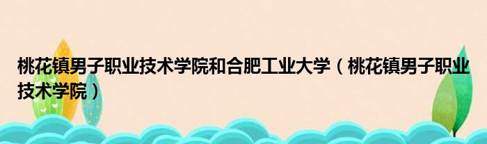 桃花镇男子职业技术学院和合肥工业大学