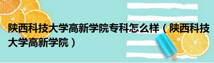 陕西科技大学高新学院专科怎么样