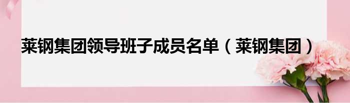 莱钢集团领导班子成员名单