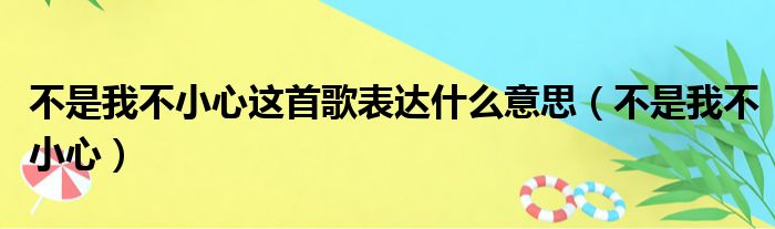 不是我不小心这首歌表达什么意思