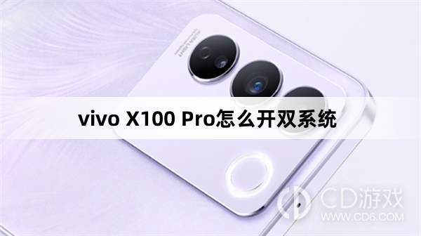 vivo X100 Pro开双系统方法