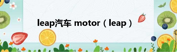 leap汽车 motor