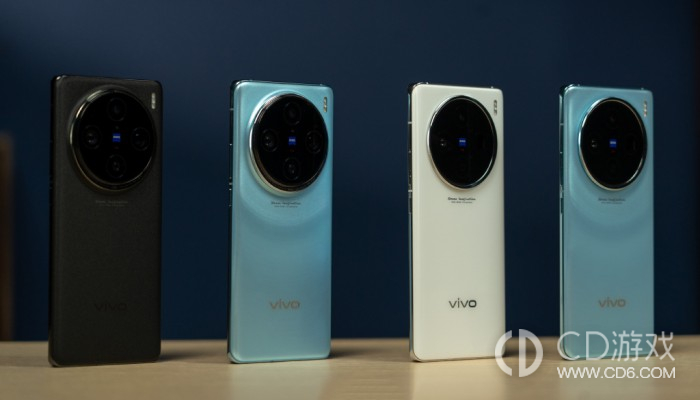 vivoX100有多少个版本可以选择