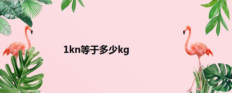 1kN等于多少kg的换算