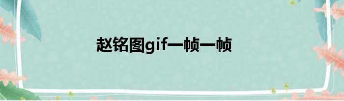 赵铭图gif一帧一帧