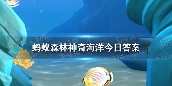 神奇海洋海参答案11.30为什么海参会大量吞食泥沙