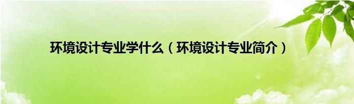 环境设计专业学什么（环境设计专业简介）