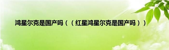 鸿星尔克是国产吗（（红星鸿星尔克是国产吗））